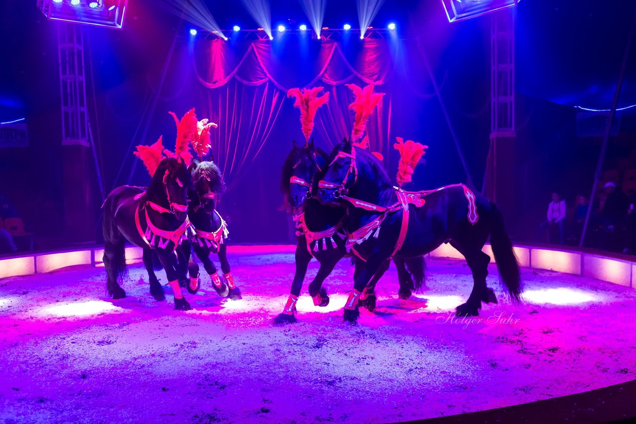Bild 78 - Circus Europa
